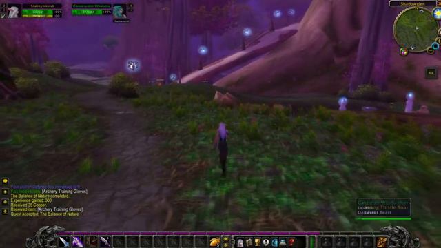 My Thoughts On: MagicWoW Vanilla Private Server смотреть онлайн