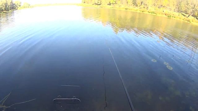 ЛОВЛЯ УКЛЕЙКИ МАХОМ В ОКТЯБРЕ. ТЕСТ ДРАЙВ ПРИКОРМКИ RS-УКЛЕЙКА смотреть онлайн