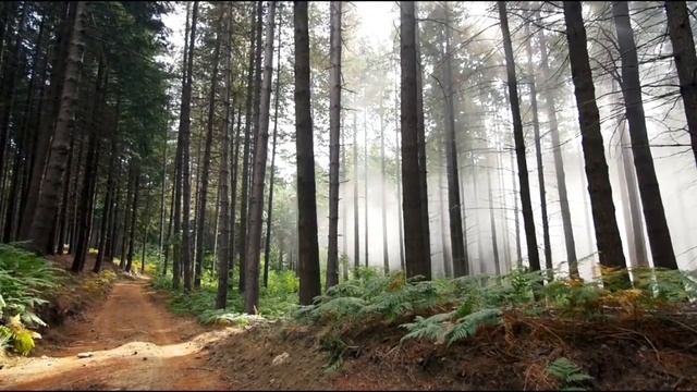 Йога Тур в Европе 2018 (Барселона) в Августе (21-31) Медитация Випассана, Тайский Массаж, Йога смотреть онлайн