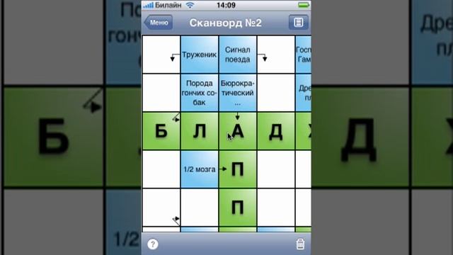 Сканворд Дня