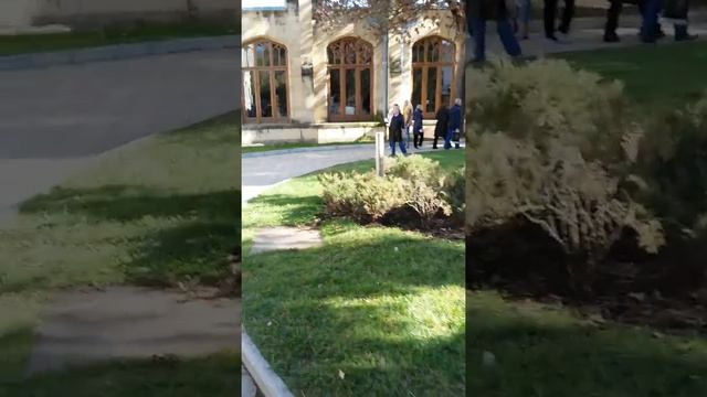 Кисловодск. Курортный бульвар. Питьевая галерея смотреть онлайн