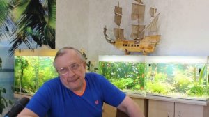 #13 Гуппи и меченосцы. Разведение /  Аквариумистика с Геннадием Посейдонычем