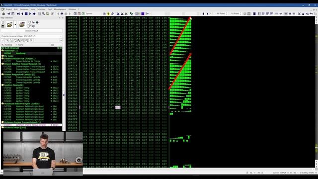 WinOLS Mastery: Map Identification & Editing Online Course смотреть онлайн