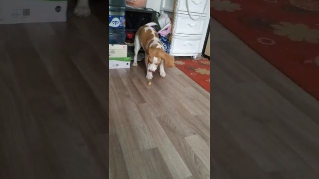 18 марта 2021 г. смотреть онлайн