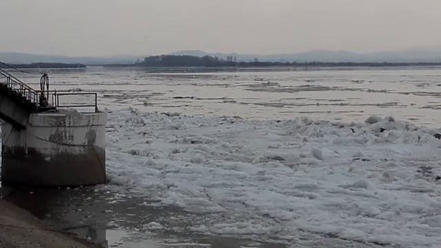 Амур 14 04 17 смотреть онлайн