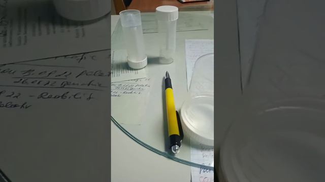 Жёлтая ручка, солнечного цвета, талисман удачи, пусть все кто работает сегодня с ручкой будут рады смотреть онлайн