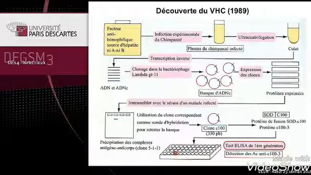 Les Hépatites A,E Et C Vha,vhe,vhc