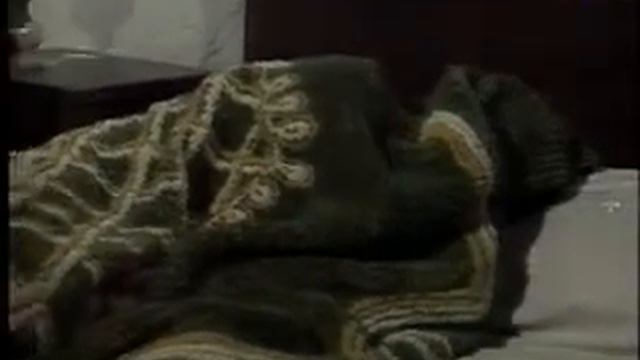 Арабский язык урок 52 Arabe Français 52 La langue arabe смотреть онлайн