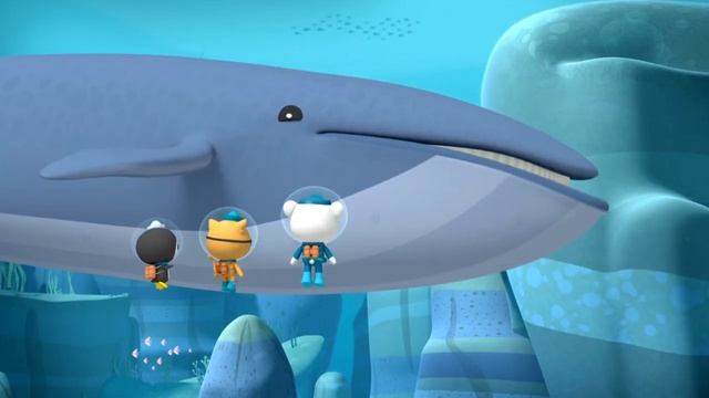 01.31 - Октонавты и светящиеся акулы смотреть онлайн