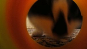 САМЫЕ СМЕШНЫЕ ПРИКОЛЫ С КОТАМИ МАЛЫШОМ И МУРКОЙ! Смешные игры! новые НОВОГОДНИЕ РАЗВЛЕЧЕНИЯ с котам