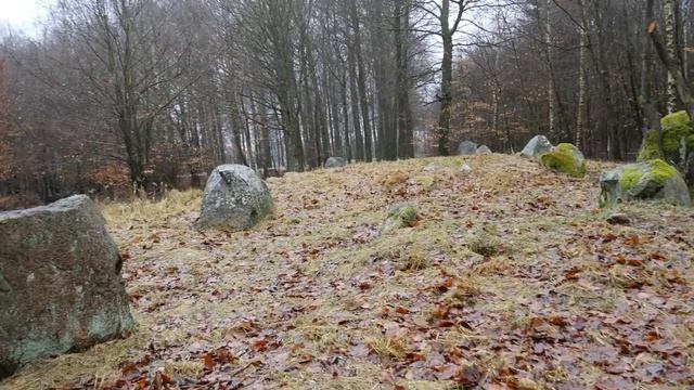Freerslev Hegn Langdysse. смотреть онлайн