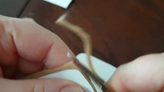 #186 Посуда мешает моему хобби..?  Дубай-Эмираты.