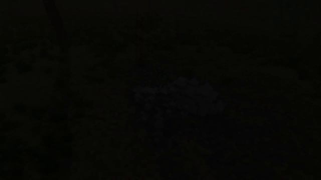 Thrill Of The Hunt - Explore a voxel world смотреть онлайн