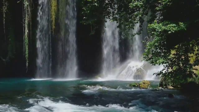 Сура Ясин сердце❤ Корана 7 раз🤲 - успокаивает душу! слушайте обязательно! surah Yasin سورة يس смотреть онлайн