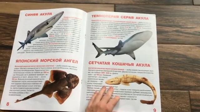 Гортаємо книгу "Большая книга Акулы" смотреть онлайн
