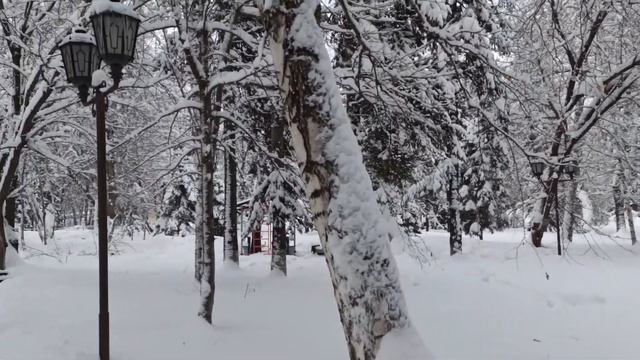 Сибирское очарование зимы в Горно-Алтайске смотреть онлайн