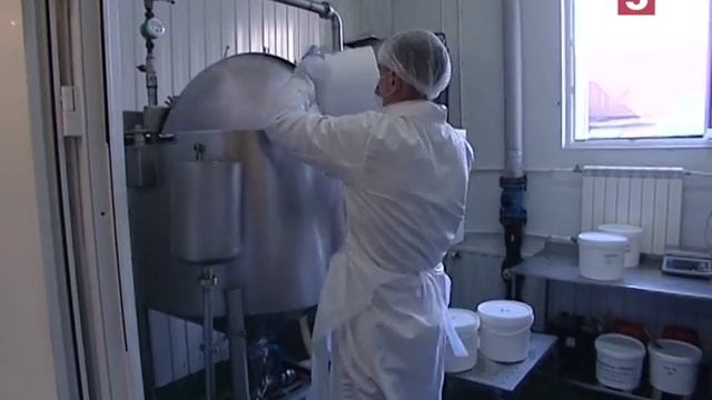 Икра мойвы – есть можно, но не увлекаясь. "Есть можно!". Утро на 5 смотреть онлайн