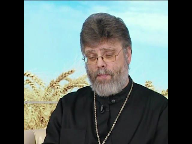 Поиск Царства Небесного и высших ценностей смотреть онлайн