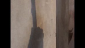 Надо ли штукатурить стены в панельном доме?