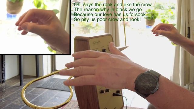 Theremin THE BIRD'S LAMENT Music by Richard Rodney Bennett. Performed by Gary P Hayes on Claravox смотреть онлайн