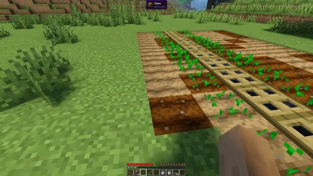 ГАЙД КАК САЖАТЬ ПШЕНИЦУ В МАЙНКРАФТЕ GUIDE HOW TO PLANT WHEAT IN MINECRAFT  指导如何在MINECRAFT中种植小麦