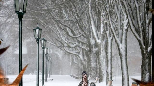 Жду тебя слова и музыка Г Щеголев,звук А Макалиш,исп Л Великанова и Г Щеголев смотреть онлайн