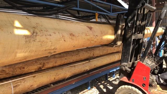 Сушка брёвна лиственницы в вакуумной камере смотреть онлайн