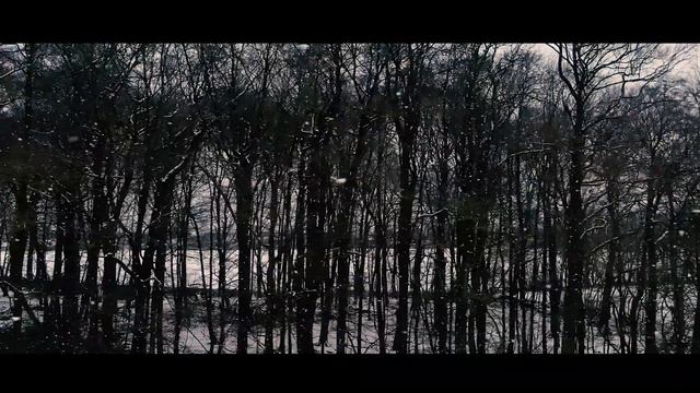 LINDEMANN - Blut (Piano) Cover смотреть онлайн