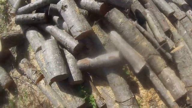 Погрузка Дров в Лесу от 1го лица. Пилим, грузим, выгружаем. смотреть онлайн