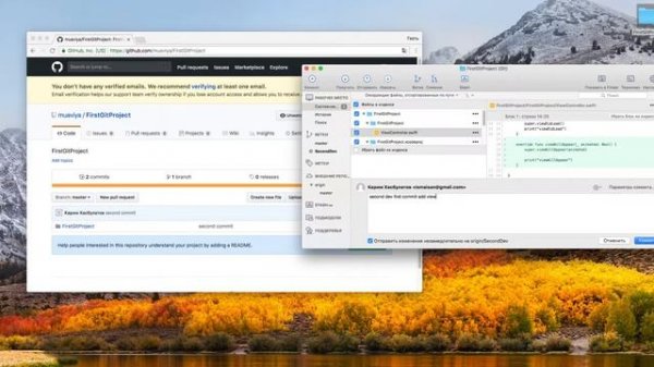 Как использовать sourcetree с github в Xcode