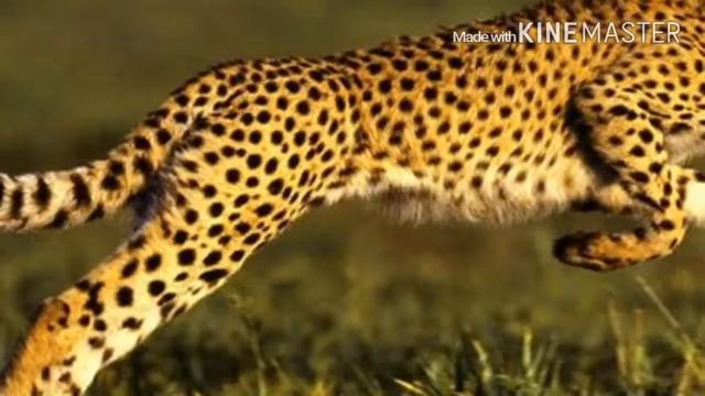 Описание 3 канала. смотреть онлайн