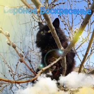 Для детей о Вербном Воскресенье