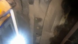 Fiat Doblo 1.4 замінені пороги...