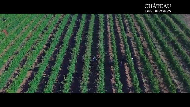 Презентационно видео - Винарна и хотел "Шато де Берже" смотреть онлайн