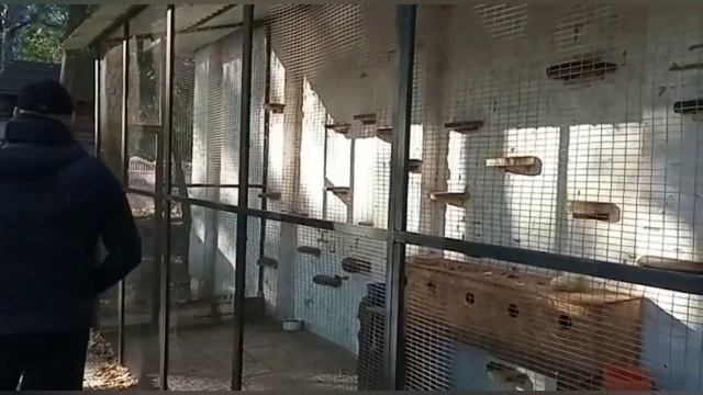 Поляна сказок смотреть онлайн