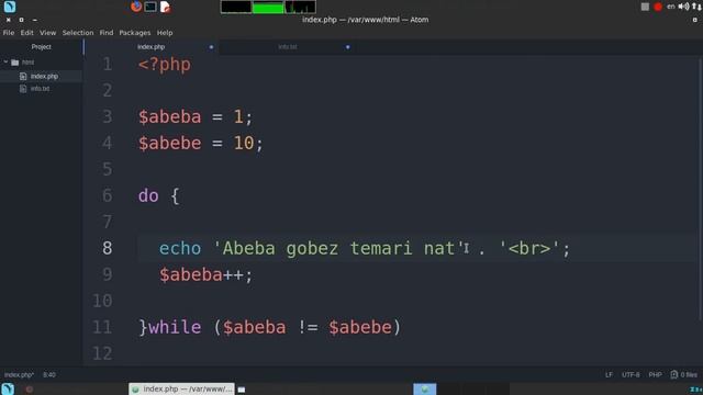 PHP in Amharic part 6 смотреть онлайн