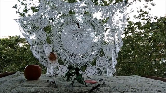Albert Roussel - Le Festin de l'Araignée (Stop-Motion Animation) смотреть онлайн
