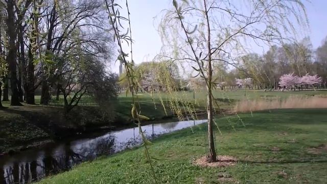 влог - Муха и вжик)) алиэкспресс, цветение сакуры в Риге смотреть онлайн
