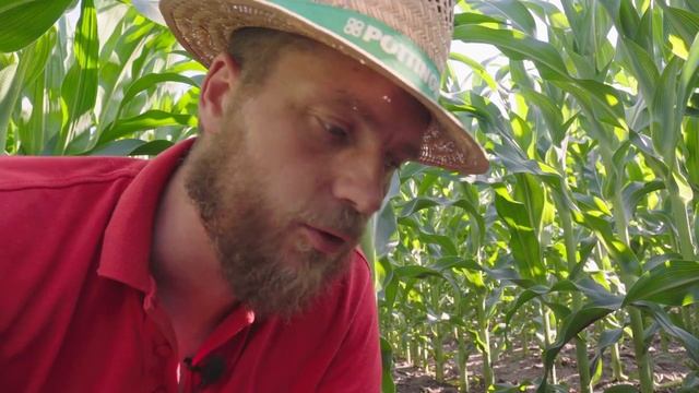 Вспашка или рыхление? Результаты исследования по накоплению влаги в почве смотреть онлайн