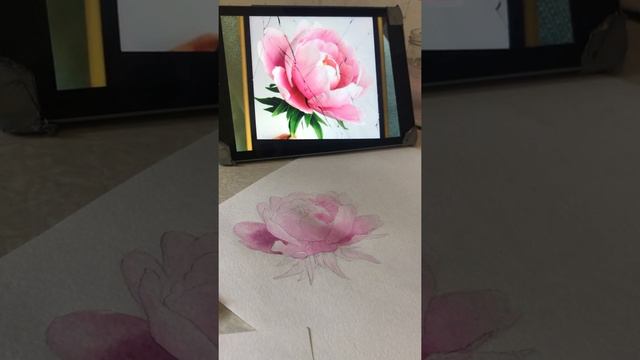 Как нарисовать пион акварелью бесплатный видео урок часть 2 смотреть онлайн