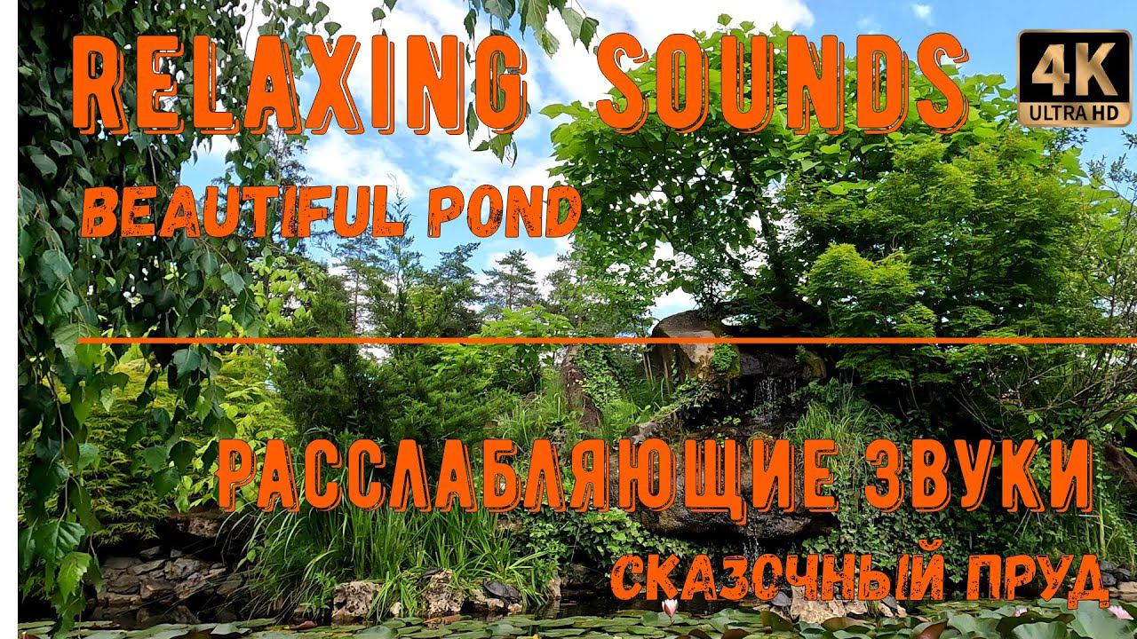 Relaxing sounds. Beautiful pond. смотреть онлайн
