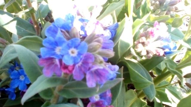 Христианские стихи с очень глубоким смыслом. смотреть онлайн