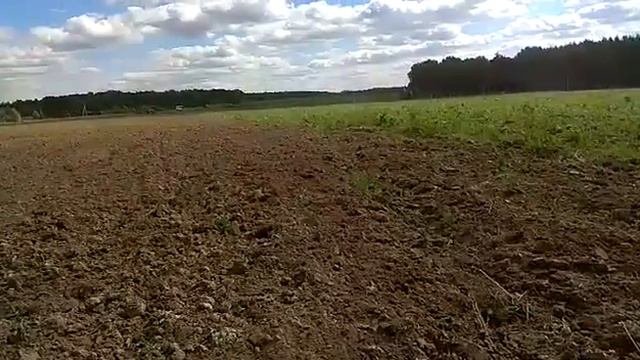 Подготовка поля под Донник, фацелию, синяк, мордовник смотреть онлайн