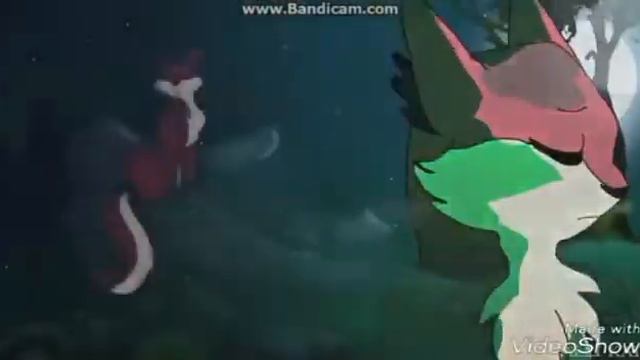 Коты Воители - Кленовидница .