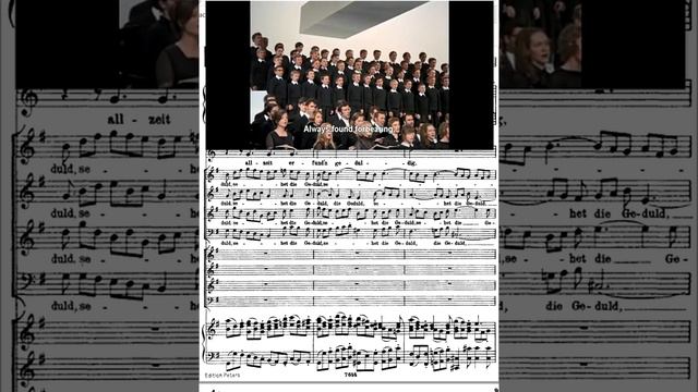 Бах Страсти по Матфею №1 Вступление