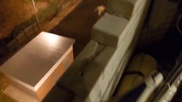 Новостройка разваливается в Ижевске 2015.ШОК!!! смотреть онлайн