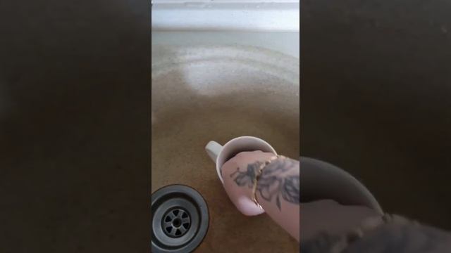 ?Гринвей?Салфетка для мытья посуды? отмываю налет от чая из кружки, без химикатов смотреть онлайн