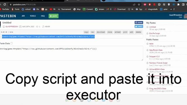 FE bird script Pastebin ROBLOX смотреть онлайн