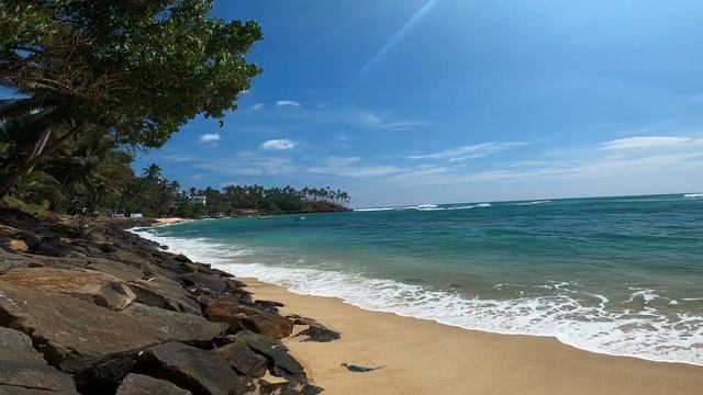 Шри-Ланка 2023. Мирисса шокирует. Чуть не лишились вещей. смотреть онлайн