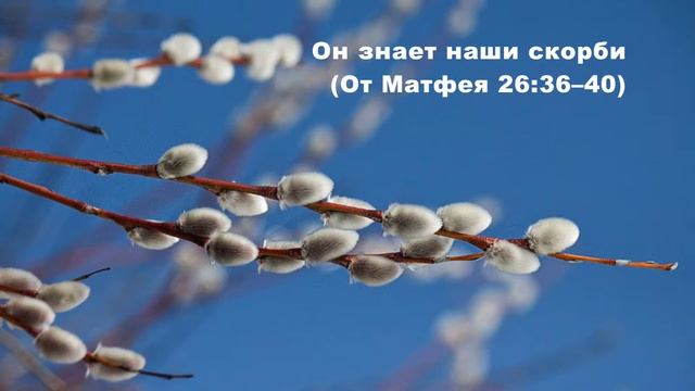 02.04.2015 Спаситель, Который знает (От Матфея 26:36–46) смотреть онлайн